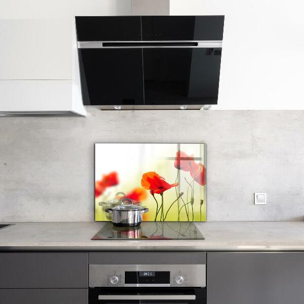 Kitchen splashback Field meadow with red poppies