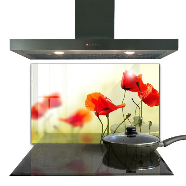 Kitchen splashback Field meadow with red poppies