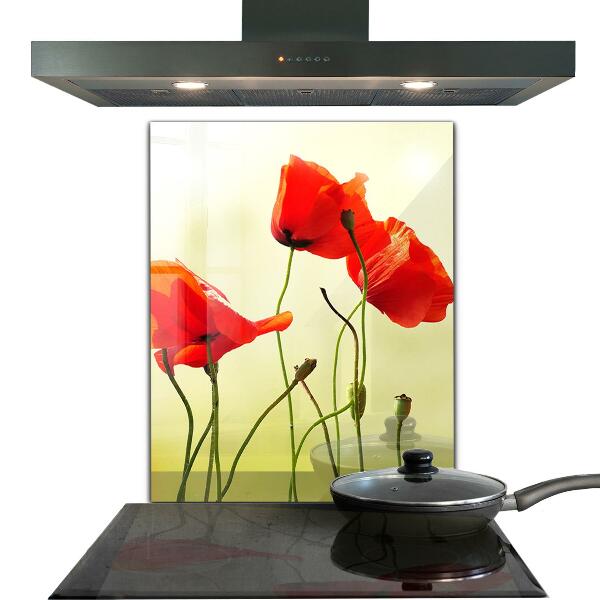 Kitchen splashback Field meadow with red poppies