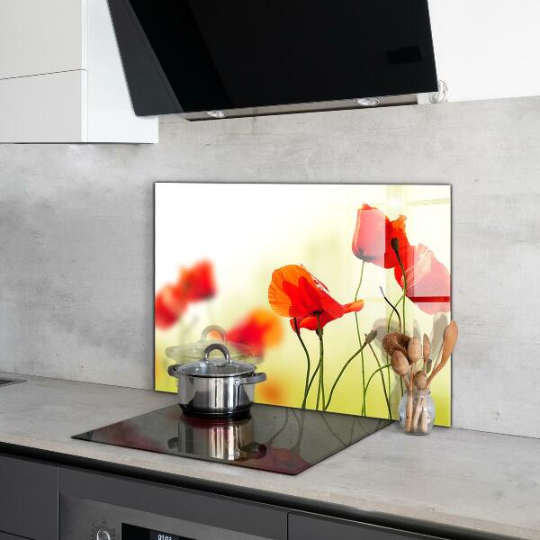 Kitchen splashback Field meadow with red poppies