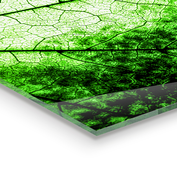 Kitchen splashback Green leaf texture