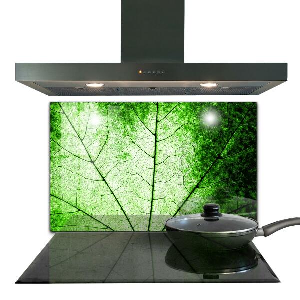 Kitchen splashback Green leaf texture