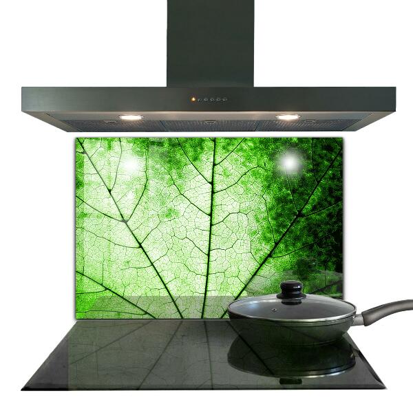 Kitchen splashback Green leaf texture