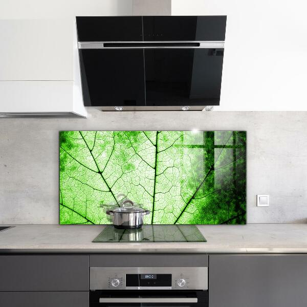 Kitchen splashback Green leaf texture