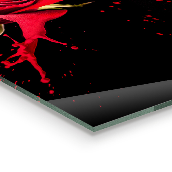 Kitchen splashback Red rose abstract