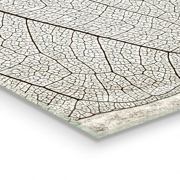 Kitchen splashback Sepia leaf texture