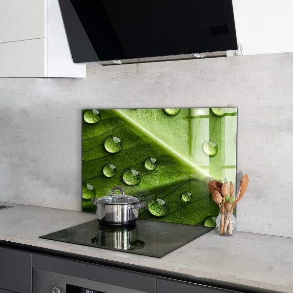 Kitchen splashback Leaf with drops of morning dew
