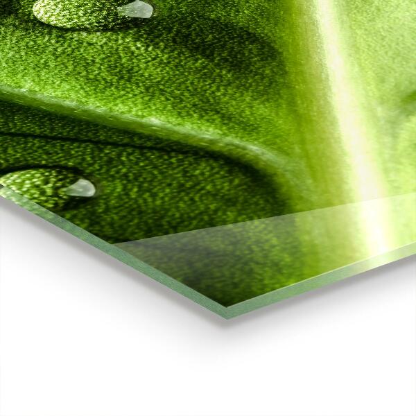 Kitchen splashback Leaf with drops of morning dew
