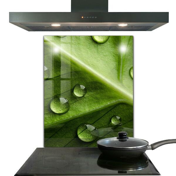 Kitchen splashback Leaf with drops of morning dew