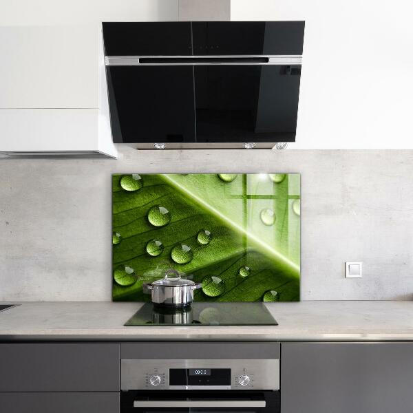 Kitchen splashback Leaf with drops of morning dew
