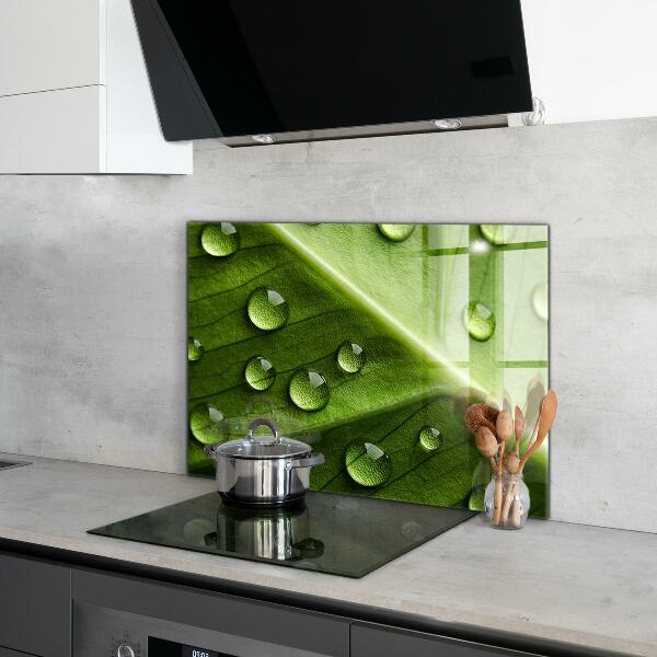 Kitchen splashback Leaf with drops of morning dew