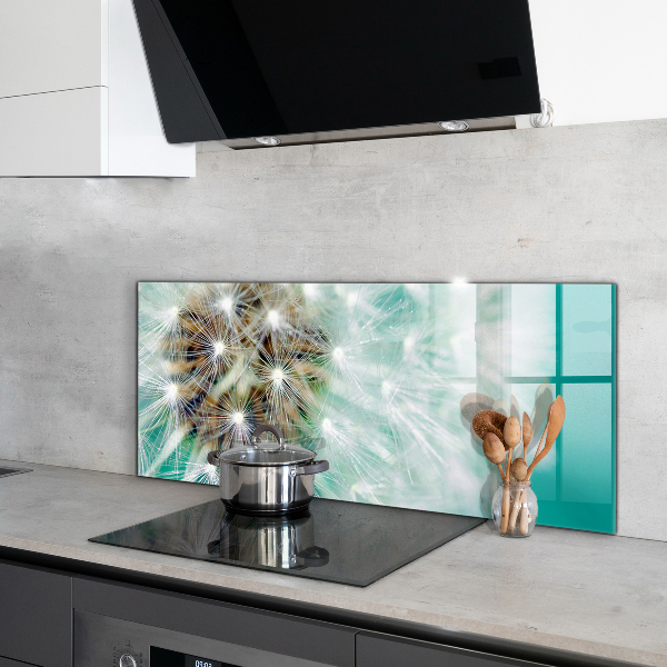 Kitchen splashback Dandelion in the wind plant