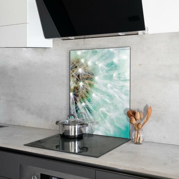 Kitchen splashback Dandelion in the wind plant