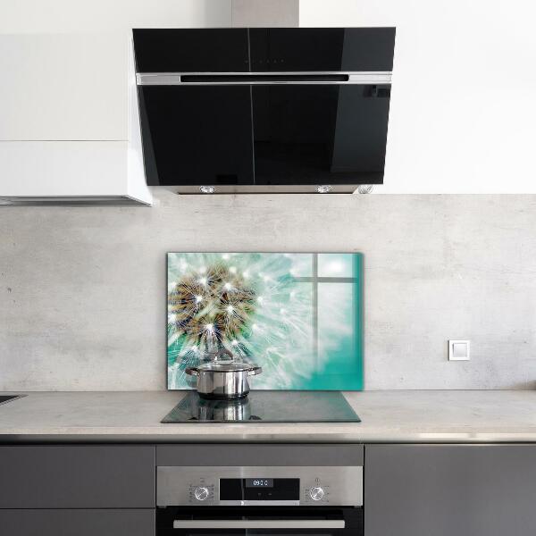 Kitchen splashback Dandelion in the wind plant