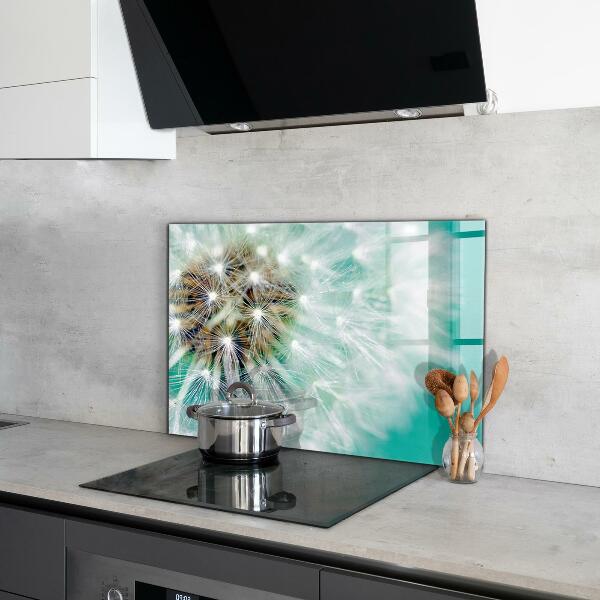 Kitchen splashback Dandelion in the wind plant