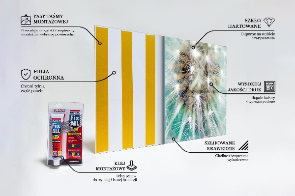 Kitchen splashback Dandelion in the wind plant