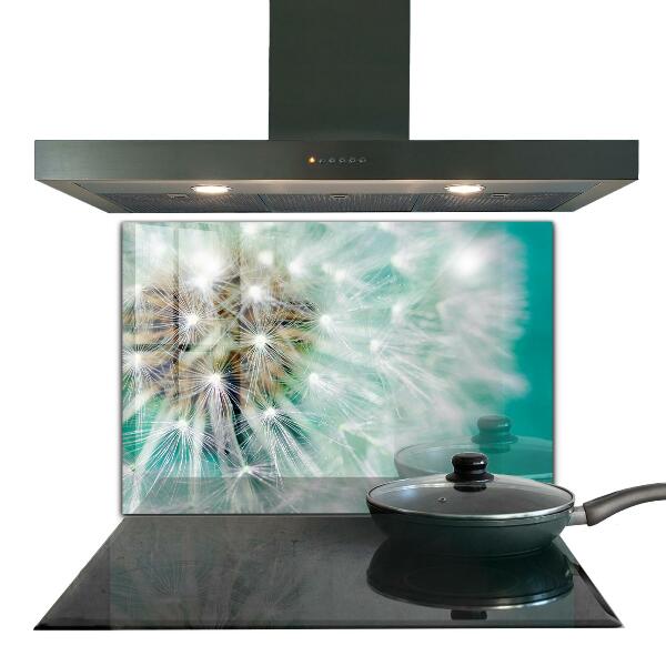Kitchen splashback Dandelion in the wind plant