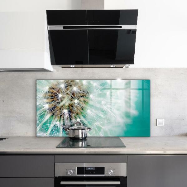 Kitchen splashback Dandelion in the wind plant