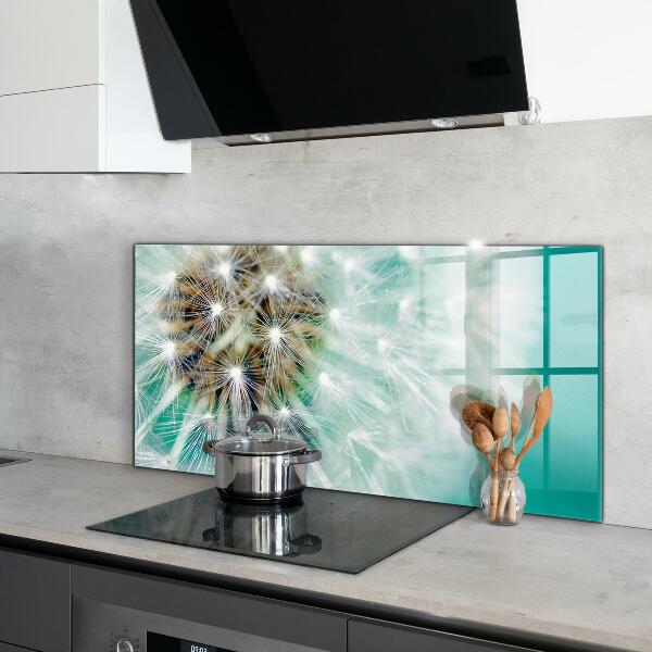 Kitchen splashback Dandelion in the wind plant