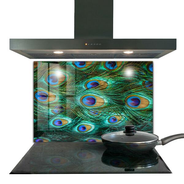 Glass splashback Peacock feathers beautiful nature