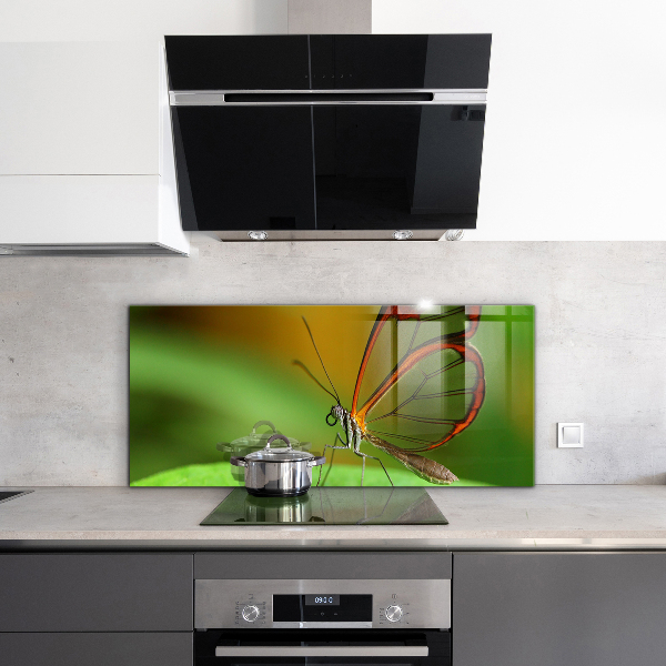 Cooker splashback Butterfly on a leaf