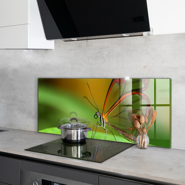 Cooker splashback Butterfly on a leaf