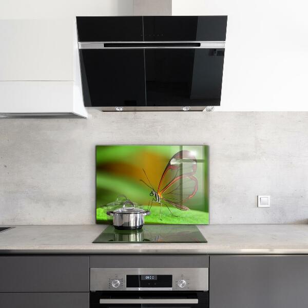 Cooker splashback Butterfly on a leaf