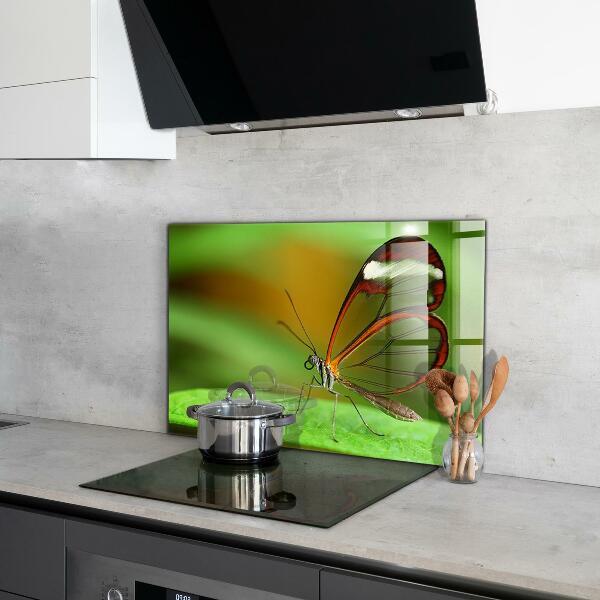 Cooker splashback Butterfly on a leaf