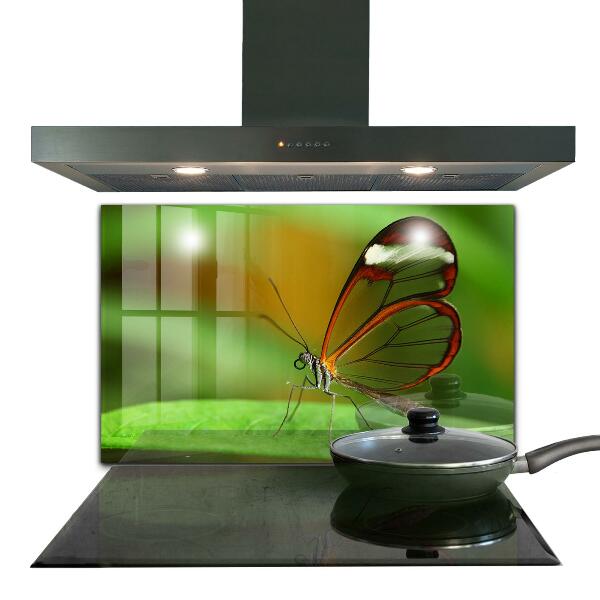 Cooker splashback Butterfly on a leaf
