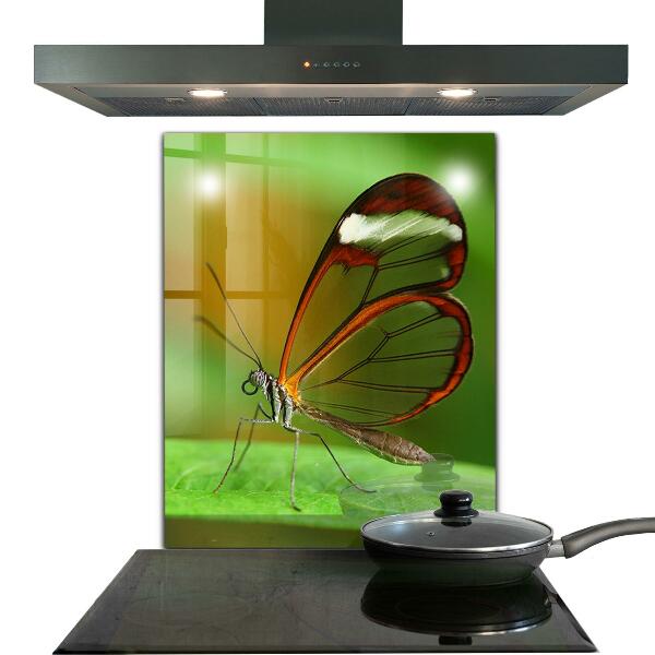 Cooker splashback Butterfly on a leaf