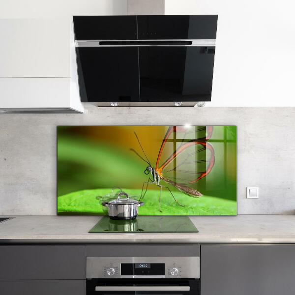 Cooker splashback Butterfly on a leaf