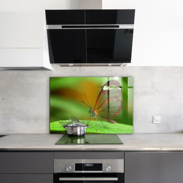 Cooker splashback Butterfly on a leaf