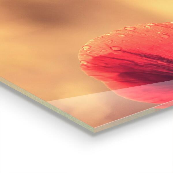 Kitchen splashback Vintage poppy plant