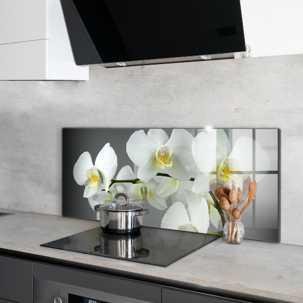 Kitchen splashback White orchid on black background