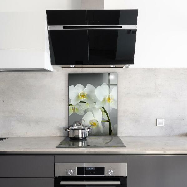 Kitchen splashback White orchid on black background