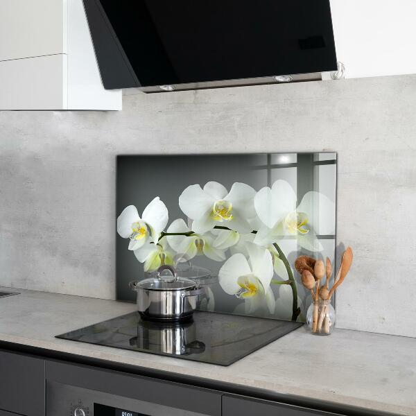 Kitchen splashback White orchid on black background