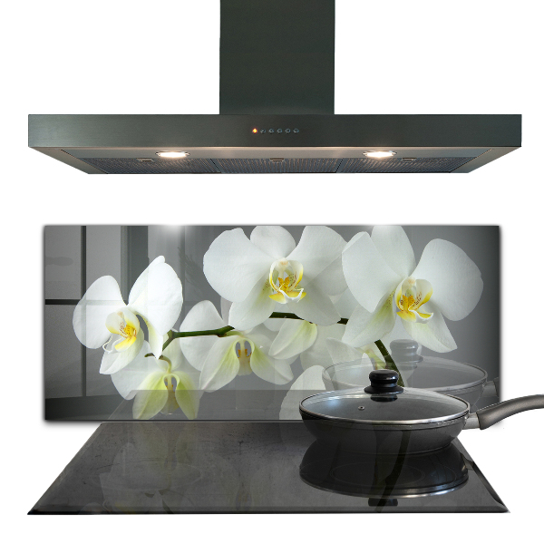 Kitchen splashback White orchid on black background