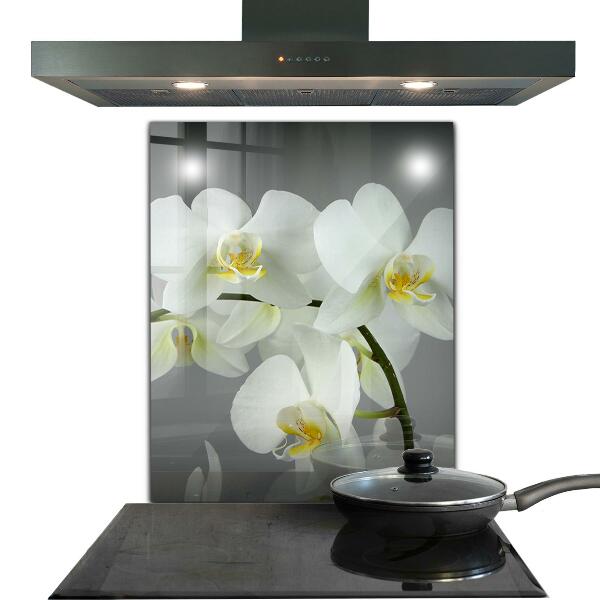 Kitchen splashback White orchid on black background
