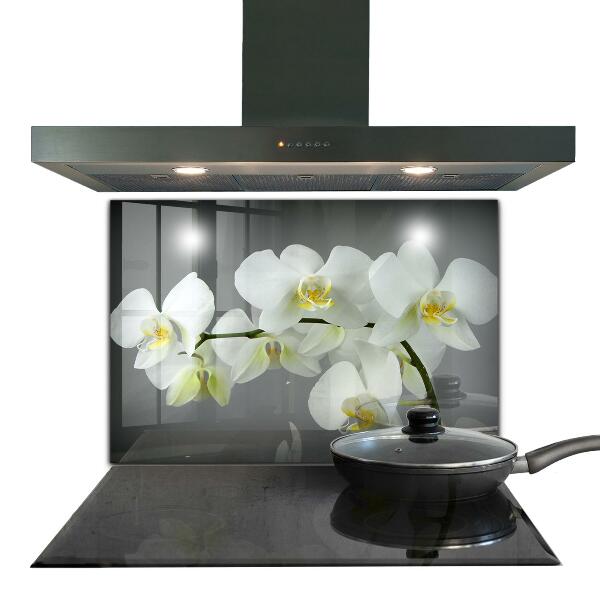 Kitchen splashback White orchid on black background
