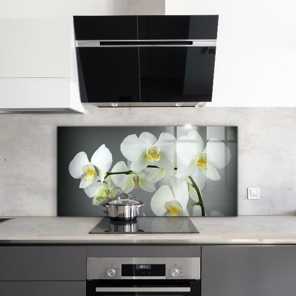 Kitchen splashback White orchid on black background