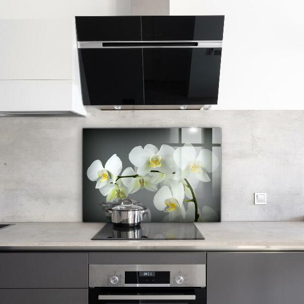Kitchen splashback White orchid on black background