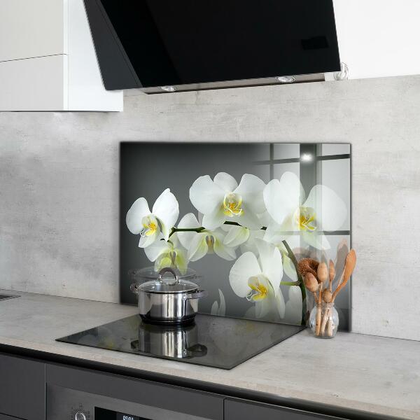 Kitchen splashback White orchid on black background