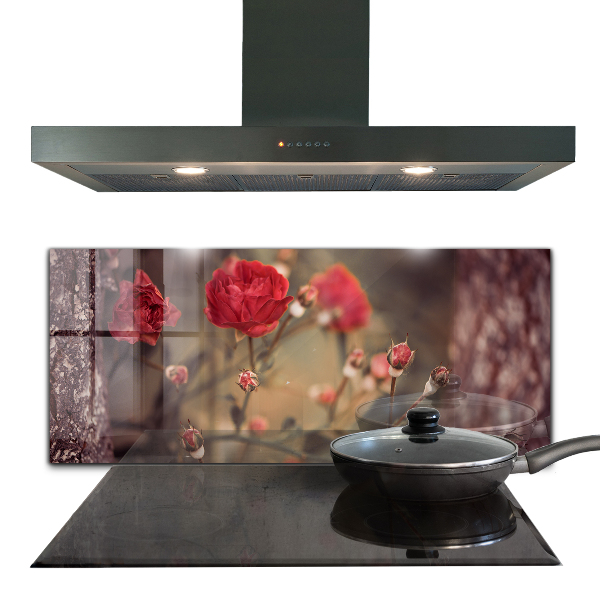 Kitchen splashback Wild rose in the park