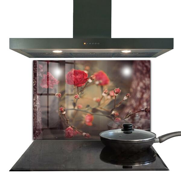 Kitchen splashback Wild rose in the park