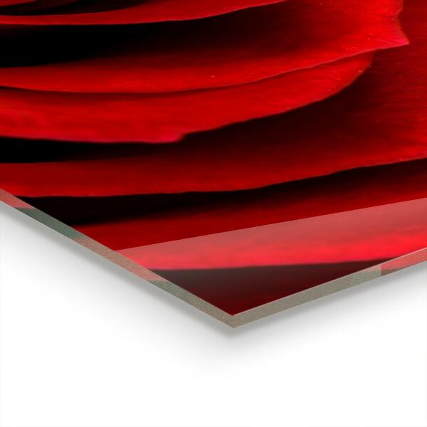 Kitchen splashback Red rose love