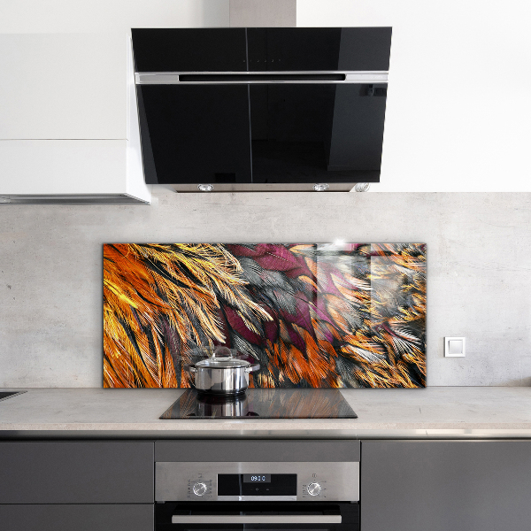 Glass splashback Colorful bird feathers