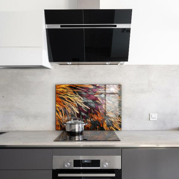 Glass splashback Colorful bird feathers