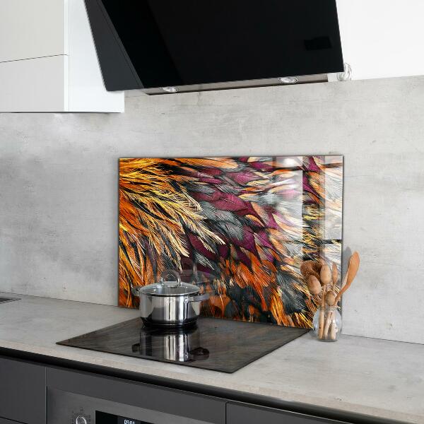 Glass splashback Colorful bird feathers