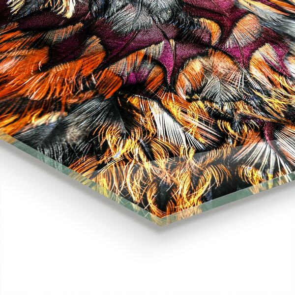 Glass splashback Colorful bird feathers