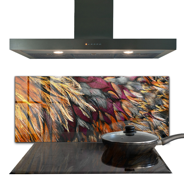 Glass splashback Colorful bird feathers